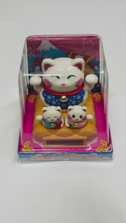 HM-M01DF Manekineko